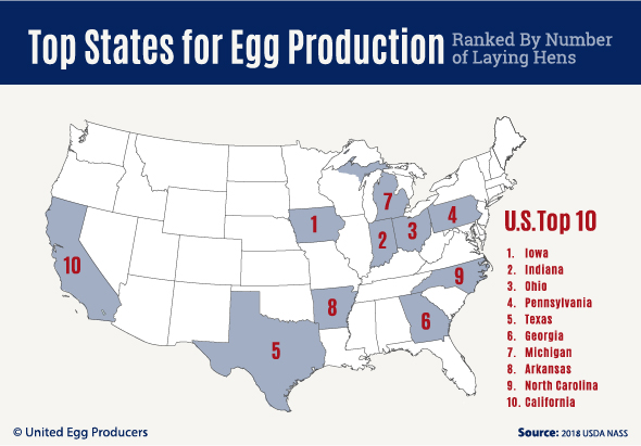 egg production by state